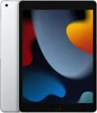 iPad (9th gen) 