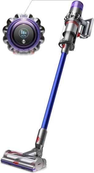 Dyson V11